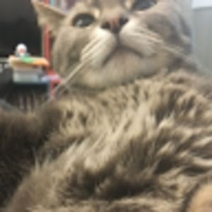 Meet your Posher, Yun